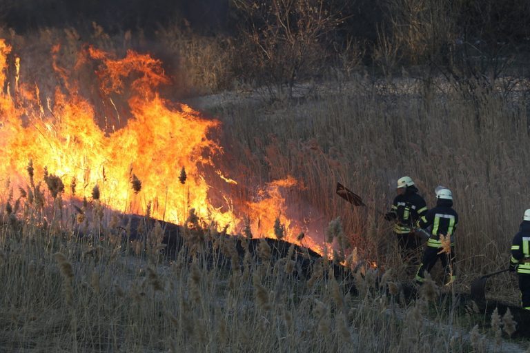 Firefighters Battle A Wildfire In Spring. Smoke Field And Firema