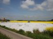 Paper Crumble Application - FGS Organics