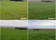 Digestate time-lapse