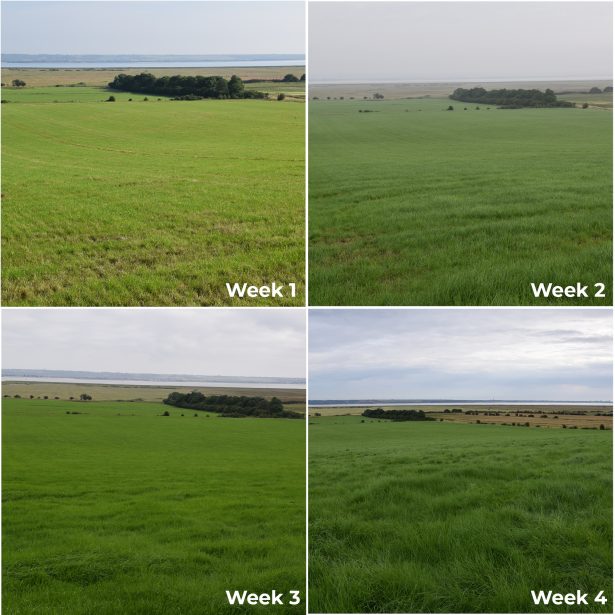 Digestate time-lapse