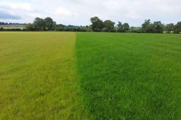 No fert vs Digestate high res 2 Digestate vs no Digestate