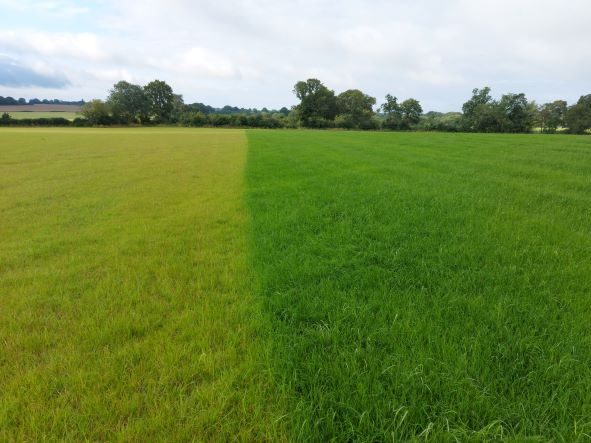Digestate vs no Digestate