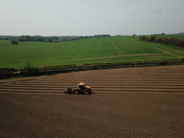 Planting 1
