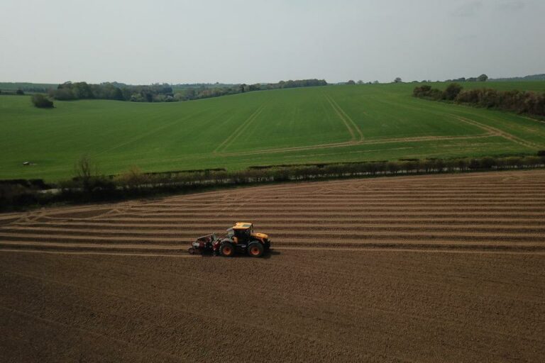 Planting 1