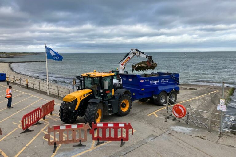 Seaweed Removal July 2023 (3)