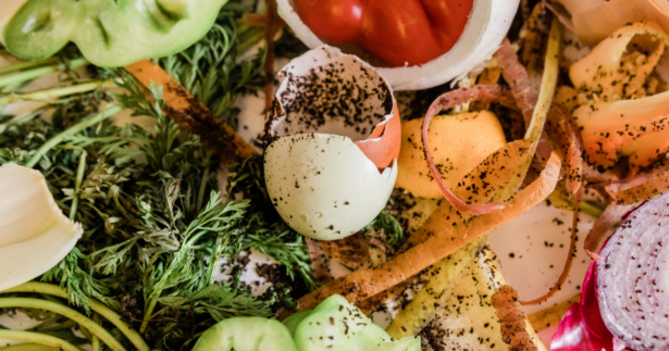 Food-Waste-DEFRA